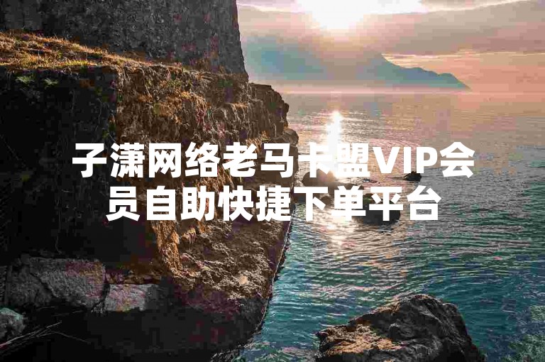 子潇网络老马卡盟VIP会员自助快捷下单平台