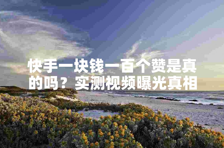 快手一块钱一百个赞是真的吗？实测视频曝光真相！