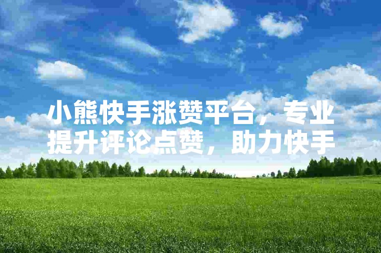 小熊快手涨赞平台，专业提升评论点赞，助力快手业务增长
