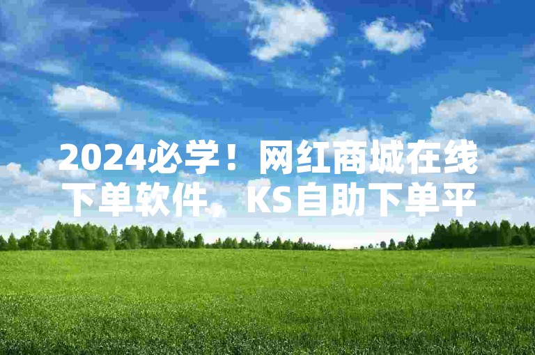 2024必学！网红商城在线下单软件，KS自助下单平台揭秘