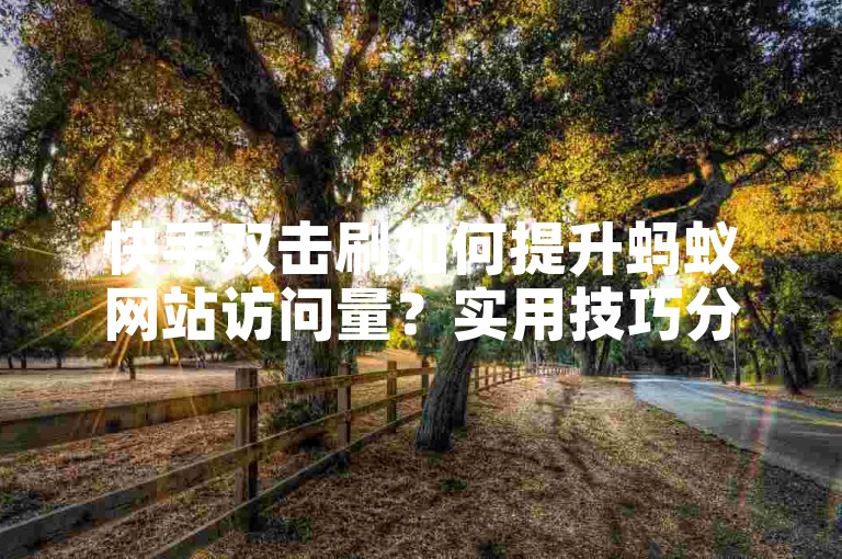 快手双击刷如何提升蚂蚁网站访问量？实用技巧分享！