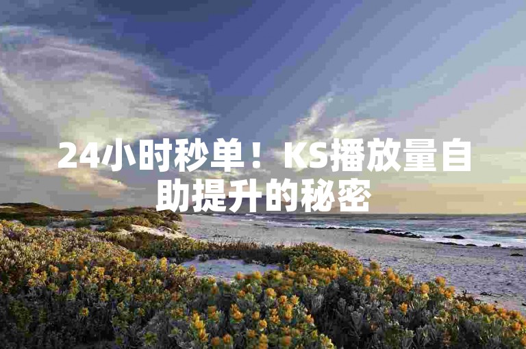24小时秒单！KS播放量自助提升的秘密