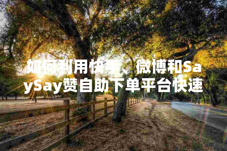 如何利用快手、微博和SaySay赞自助下单平台快速涨粉