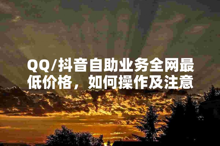 QQ/抖音自助业务全网最低价格，如何操作及注意事项