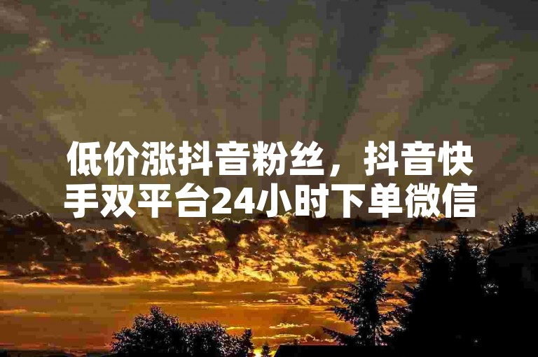 低价涨抖音粉丝，抖音快手双平台24小时下单微信支服务。