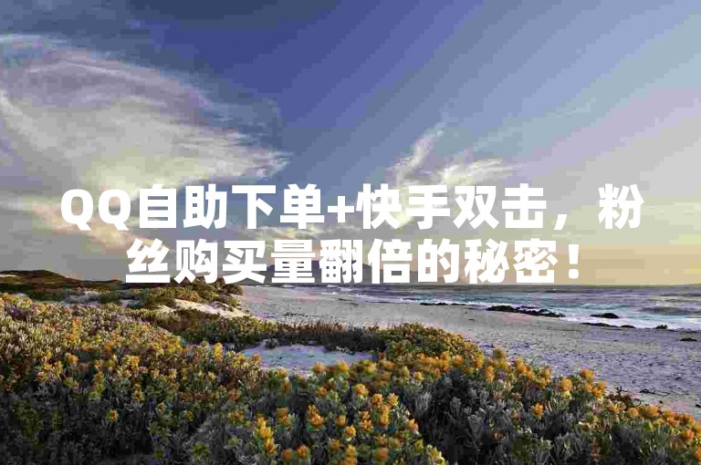 QQ自助下单+快手双击，粉丝购买量翻倍的秘密！
