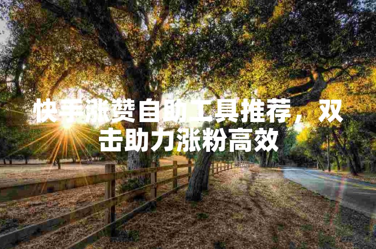 快手涨赞自助工具推荐，双击助力涨粉高效