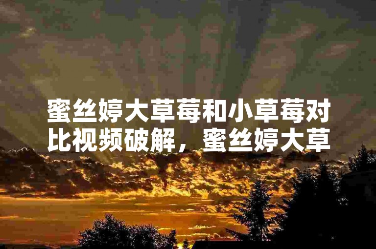 蜜丝婷大草莓和小草莓对比视频破解，蜜丝婷大草莓与小草莓对比揭秘视频评测分析