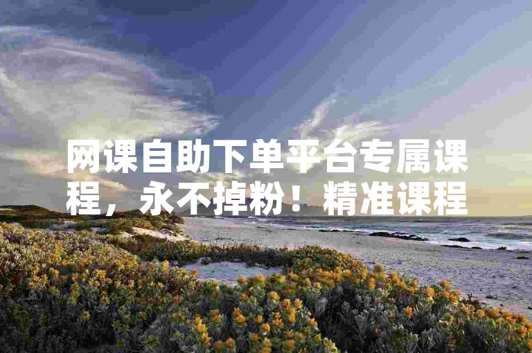 网课自助下单平台专属课程，永不掉粉！精准课程，精准服务！