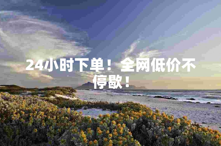 24小时下单！全网低价不停歇！
