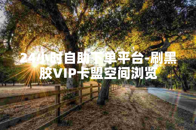 24小时自助下单平台-刷黑胶VIP卡盟空间浏览