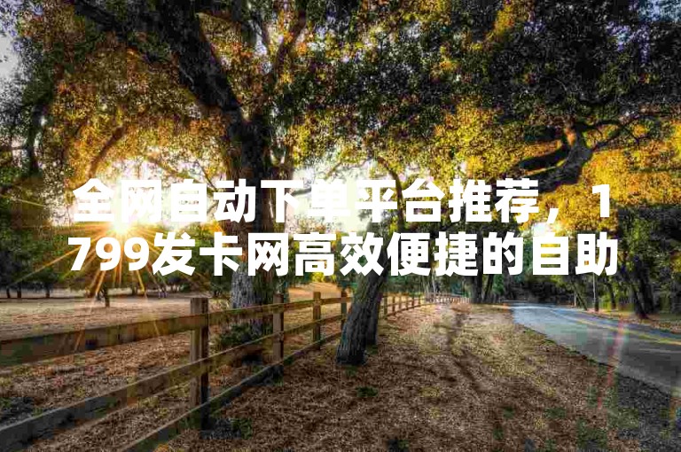 全网自动下单平台推荐，1799发卡网高效便捷的自助下单服务