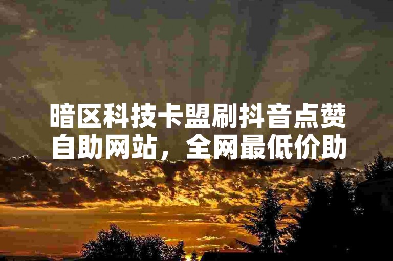 暗区科技卡盟刷抖音点赞自助网站，全网最低价助力涨粉！