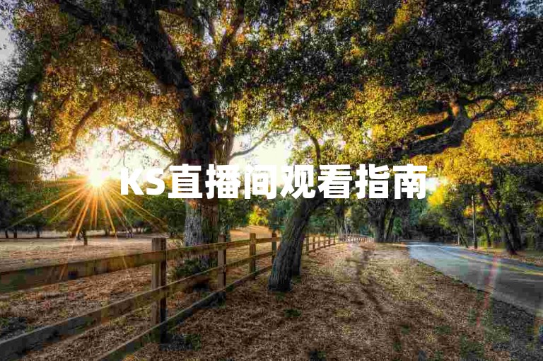 KS直播间观看指南