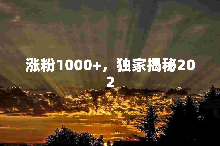 涨粉1000+，独家揭秘2025年抖音快手免费流量平台！