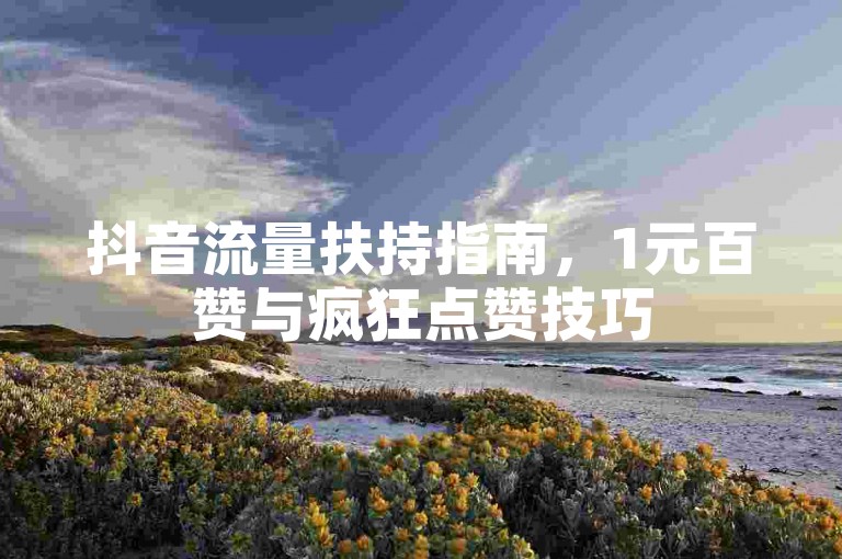抖音流量扶持指南，1元百赞与疯狂点赞技巧