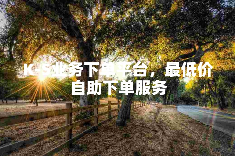 K-S业务下单平台，最低价自助下单服务
