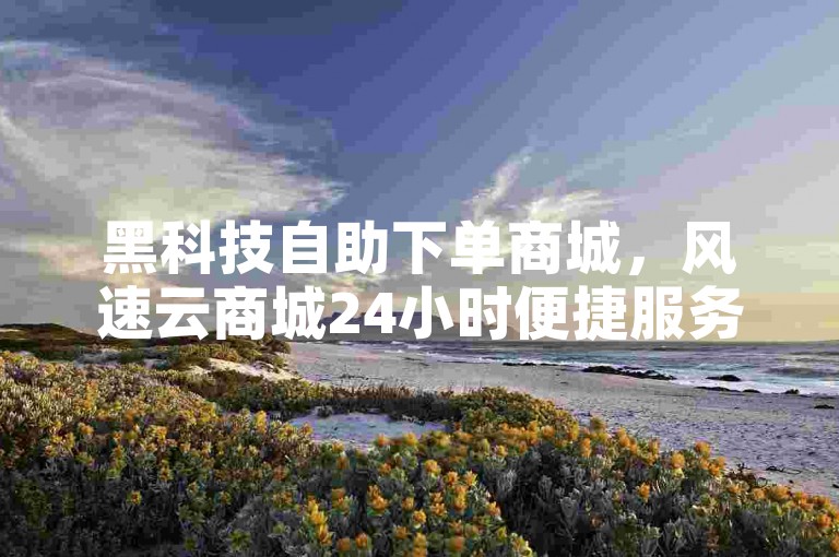 黑科技自助下单商城，风速云商城24小时便捷服务