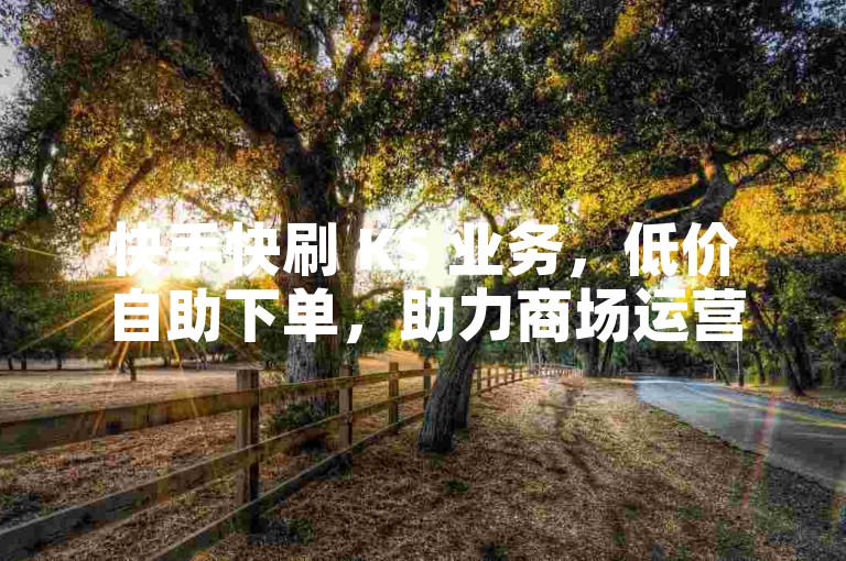 快手快刷 KS 业务，低价自助下单，助力商场运营