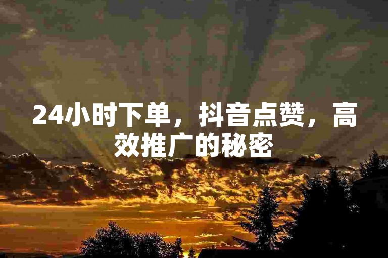 24小时下单，抖音点赞，高效推广的秘密