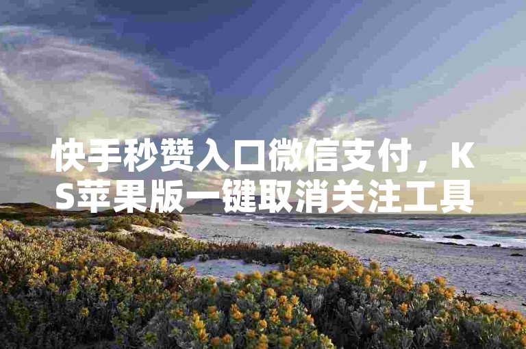 快手秒赞入口微信支付，KS苹果版一键取消关注工具！