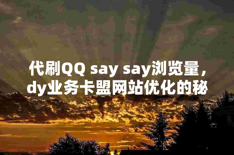 代刷QQ say say浏览量，dy业务卡盟网站优化的秘密