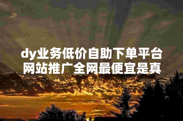 dy业务低价自助下单平台网站推广全网最便宜是真的吗？