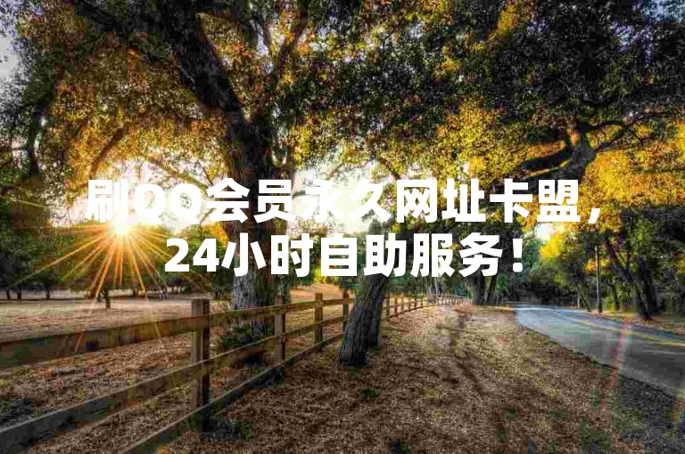 刷QQ会员永久网址卡盟，24小时自助服务！