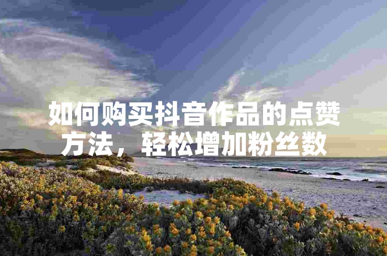 如何购买抖音作品的点赞方法，轻松增加粉丝数