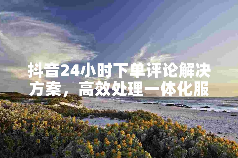 抖音24小时下单评论解决方案，高效处理一体化服务