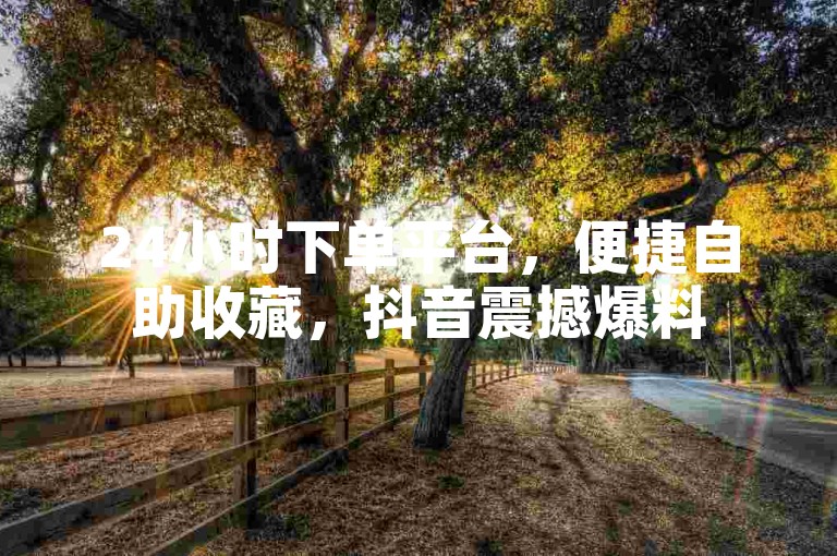 24小时下单平台，便捷自助收藏，抖音震撼爆料