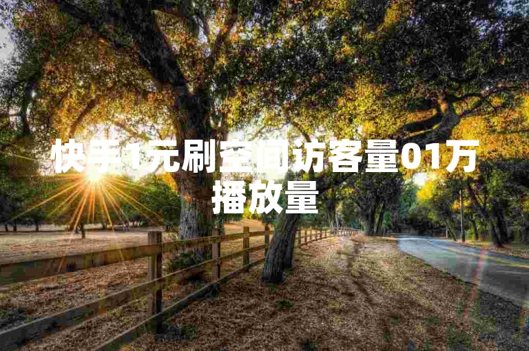 快手1元刷空间访客量01万播放量