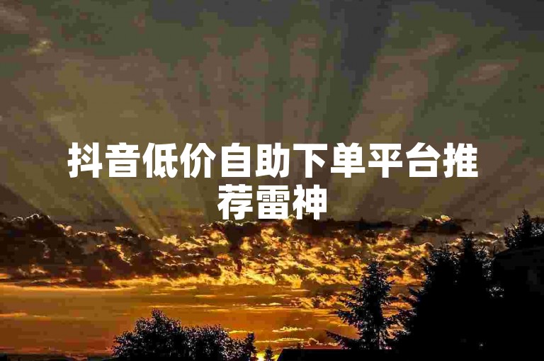 抖音低价自助下单平台推荐雷神