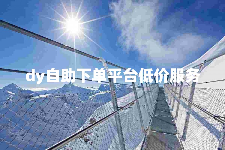 dy自助下单平台低价服务