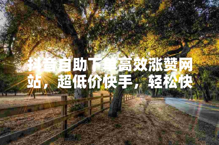 抖音自助下单高效涨赞网站，超低价快手，轻松快速获取用户！