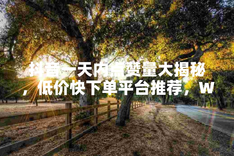 抖音一天内点赞量大揭秘，低价快下单平台推荐，WB自助平台助力高效运营