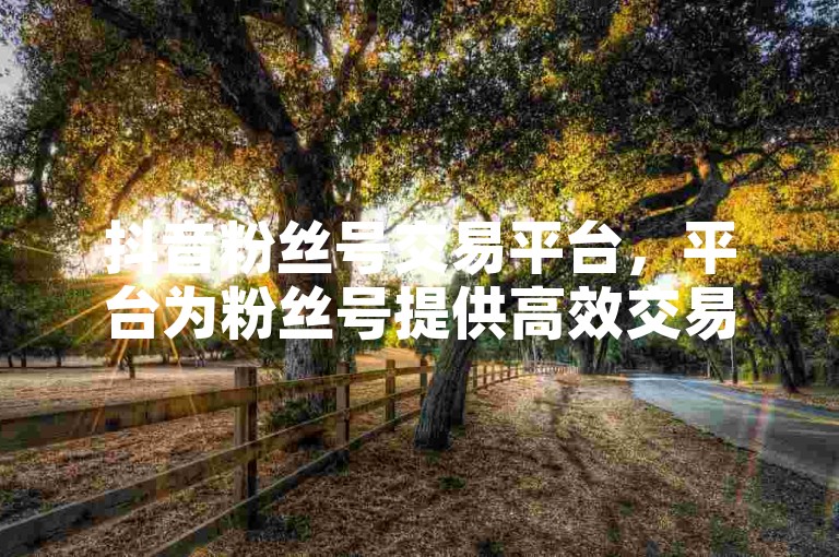 抖音粉丝号交易平台，平台为粉丝号提供高效交易服务，轻松轻松