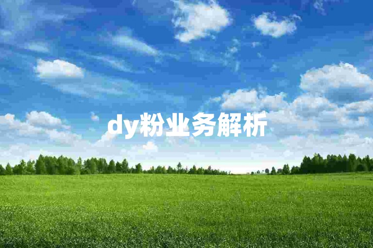 dy粉业务解析