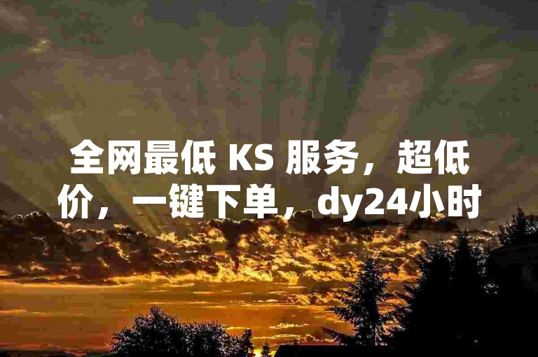 全网最低 KS 服务，超低价，一键下单，dy24小时下单，qq自助下单，独家揭秘！