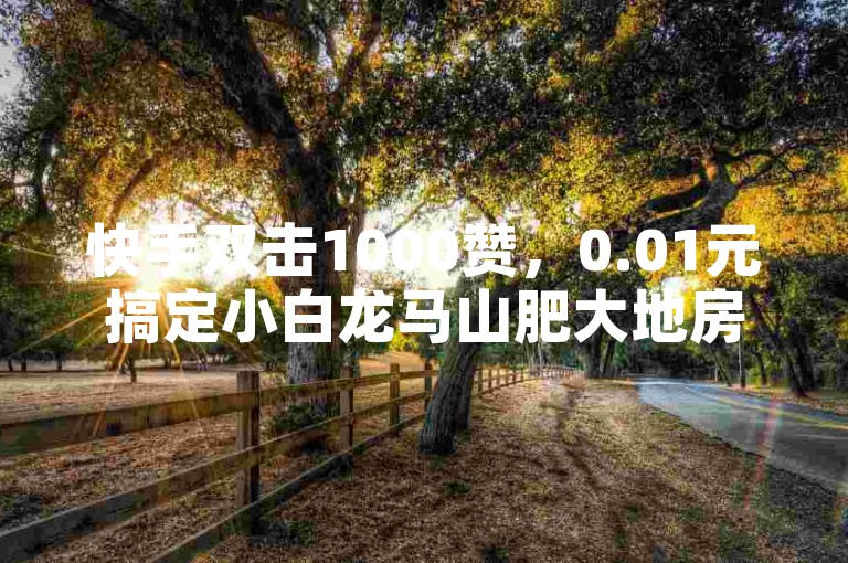 快手双击1000赞，0.01元搞定小白龙马山肥大地房产装修！自助易，快来做！