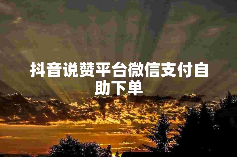 抖音说赞平台微信支付自助下单