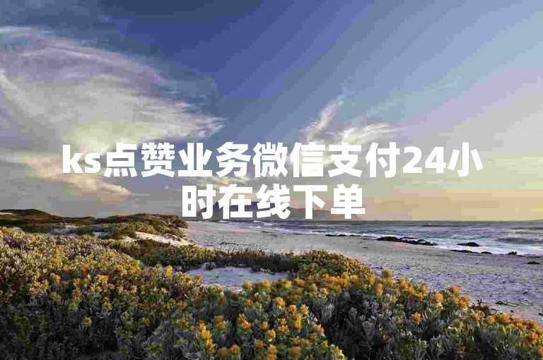 ks点赞业务微信支付24小时在线下单