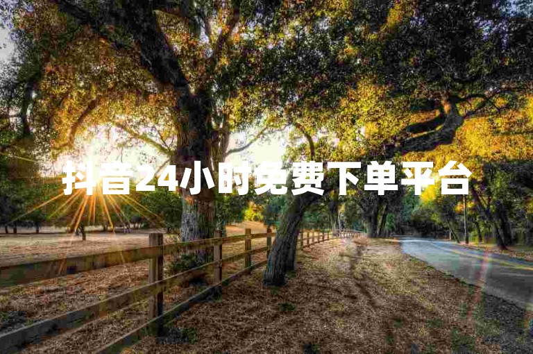 抖音24小时免费下单平台
