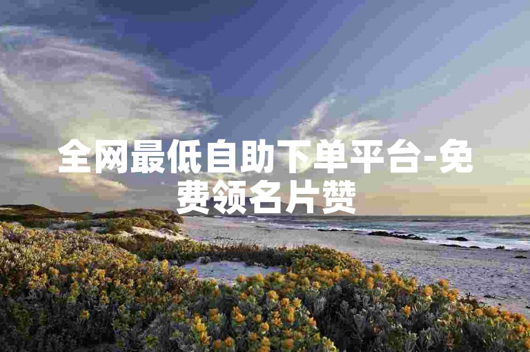 全网最低自助下单平台-免费领名片赞
