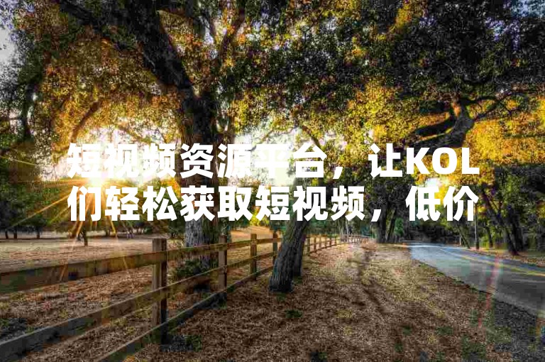 短视频资源平台，让KOL们轻松获取短视频，低价自助下单，赞数高，快速获取资源。