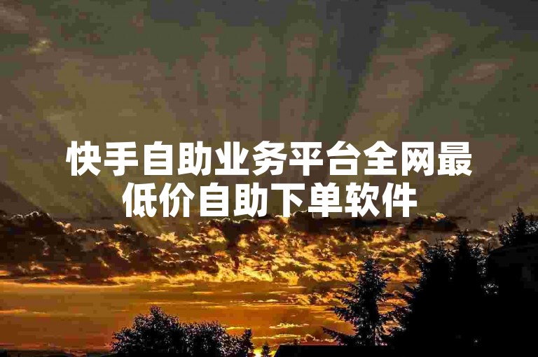 快手自助业务平台全网最低价自助下单软件