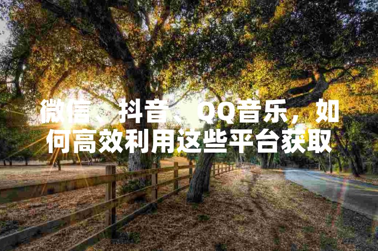 微信、抖音、QQ音乐，如何高效利用这些平台获取流量和用户