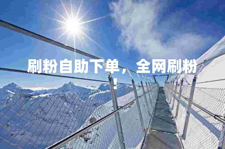 刷粉自助下单，全网刷粉！