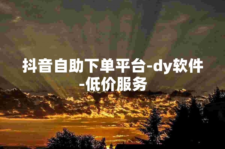 抖音自助下单平台-dy软件-低价服务