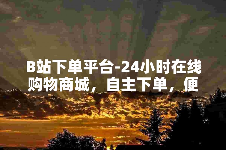 B站下单平台-24小时在线购物商城，自主下单，便捷省时